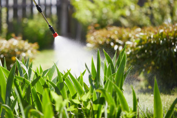 24/7 Emergency Wasp Removal experts in Churchill, OH
